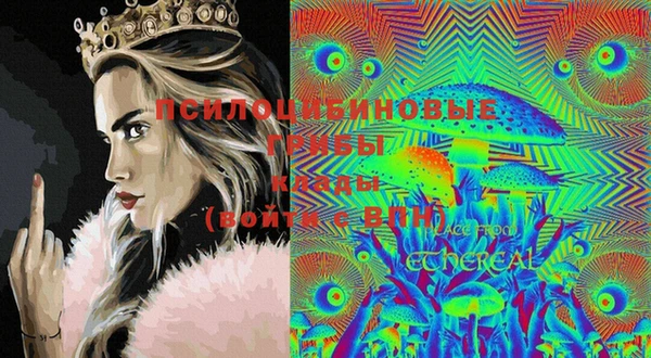 PSILOCYBIN Балахна