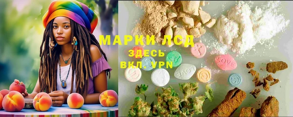 стафф Баксан