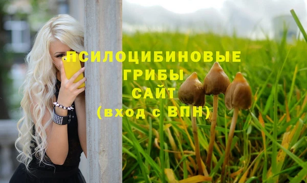 крисы Балабаново
