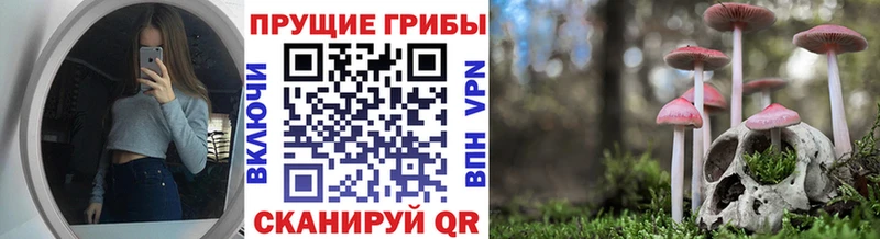 Псилоцибиновые грибы GOLDEN TEACHER Щёлкино