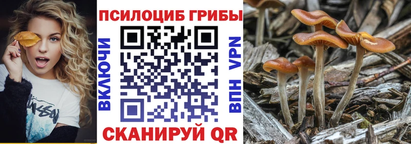 Галлюциногенные грибы Magic Shrooms  Щёлкино 